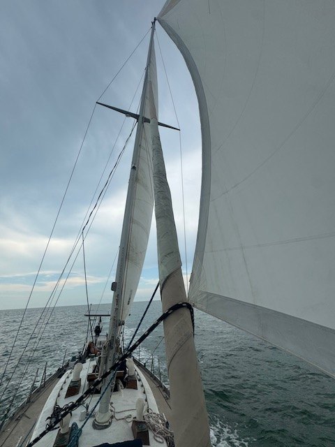 Looking up the mast of Yemaya as her headsail fills offshore
